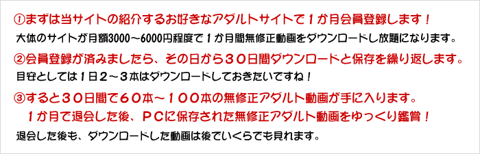 無修正アダルト動画活用テクニック